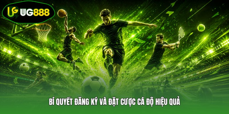 Bí quyết đăng ký và đặt cược cá độ hiệu quả Bí quyết đăng ký và đặt cược cá độ hiệu quả
