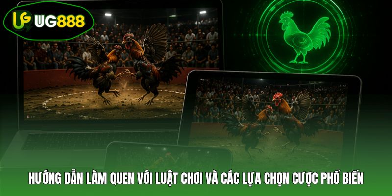 Hướng dẫn làm quen với luật chơi và các lựa chọn cược phổ biến Hướng dẫn làm quen với luật chơi và các lựa chọn cược phổ biến