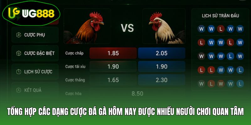 Tổng hợp các dạng cược đá gà hôm nay được nhiều người chơi quan tâm Tổng hợp các dạng cược đá gà hôm nay được nhiều người chơi quan tâm